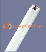 L 20/640 S  G13 D38mm 590mm (холодный белый 4000 K) - лампа